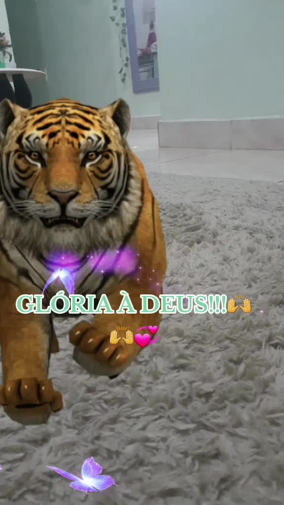 @rosileneoliveira546