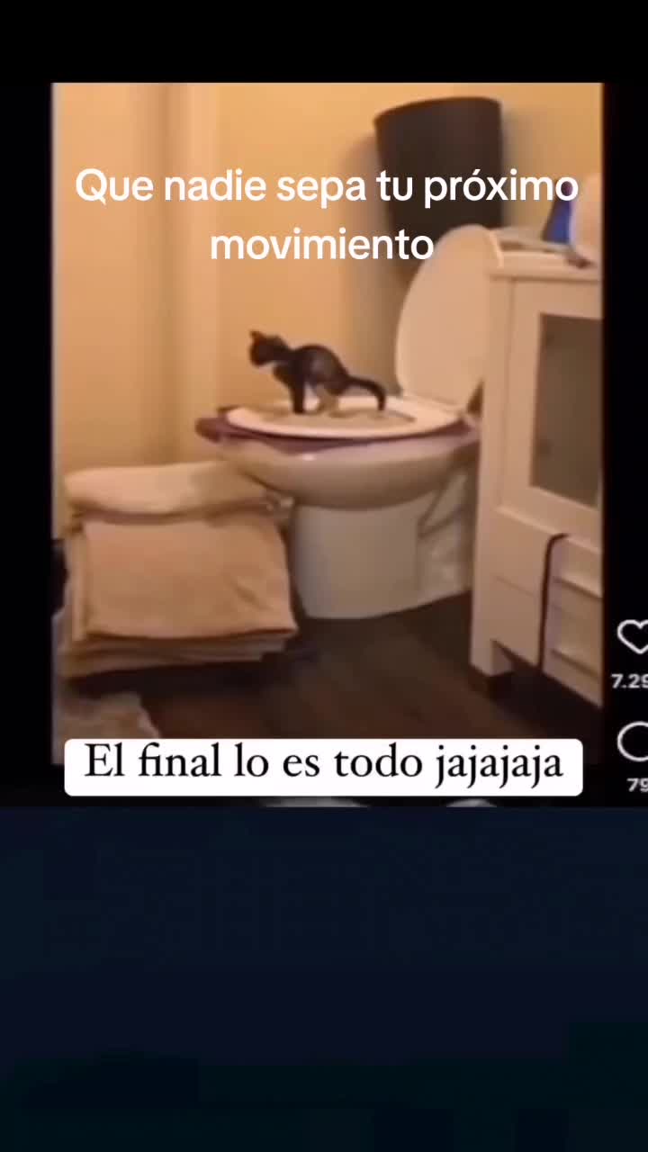 @Leonardo Jocker