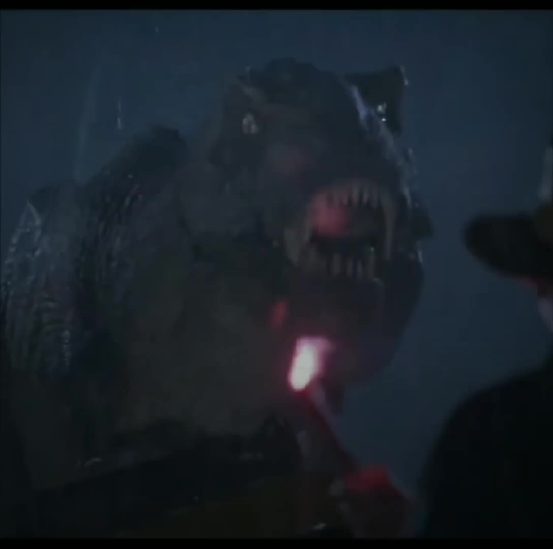 @🦖🦕
