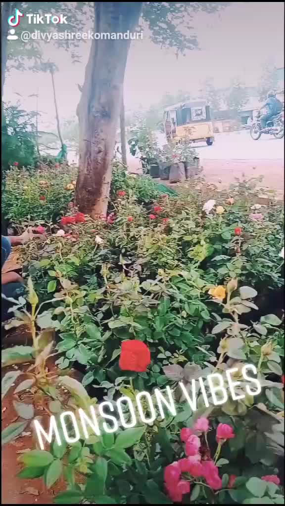 @Komanduridivshree