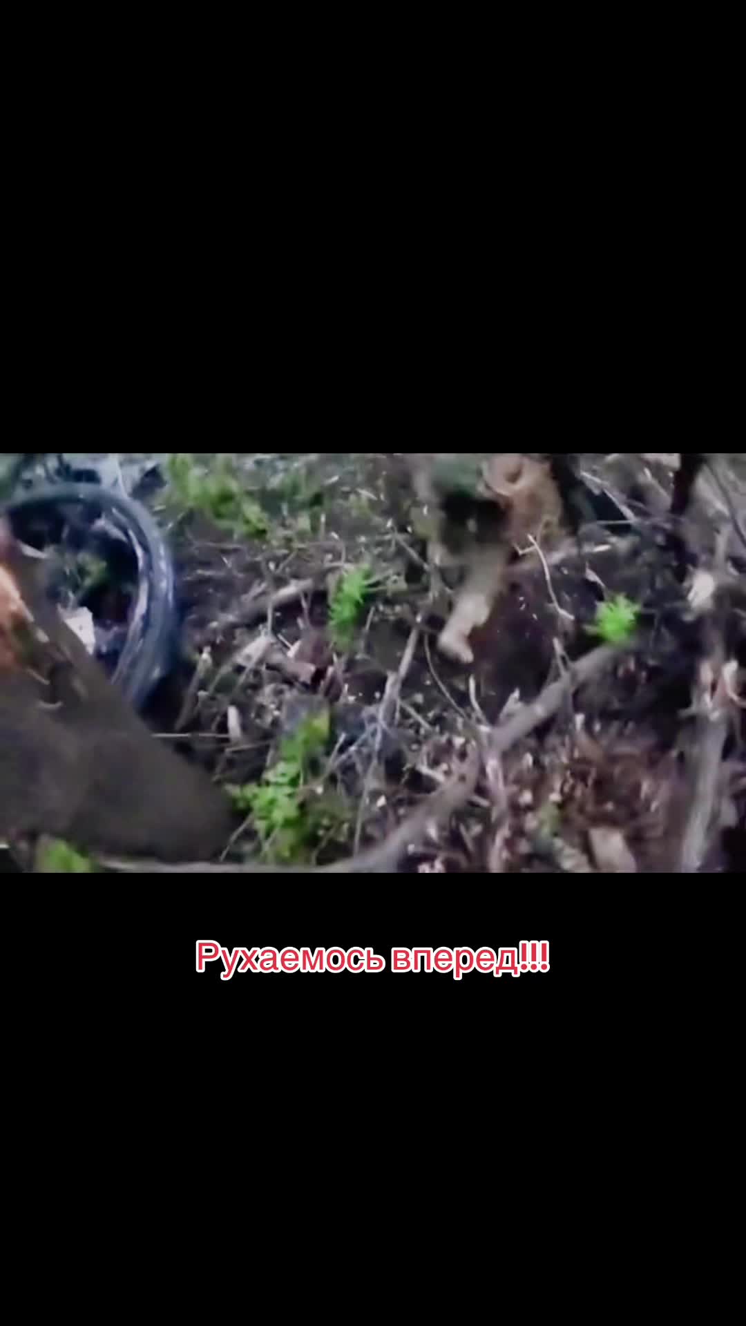 @ЗУЛУ