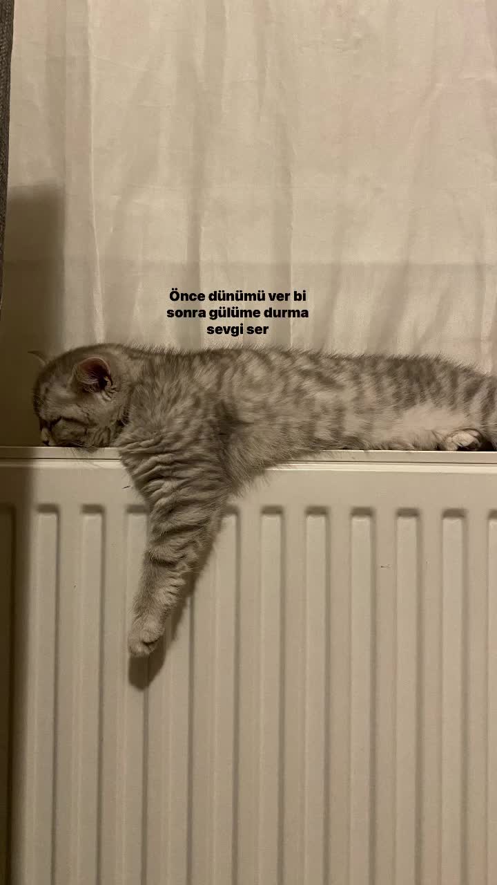 @lrmakaydin