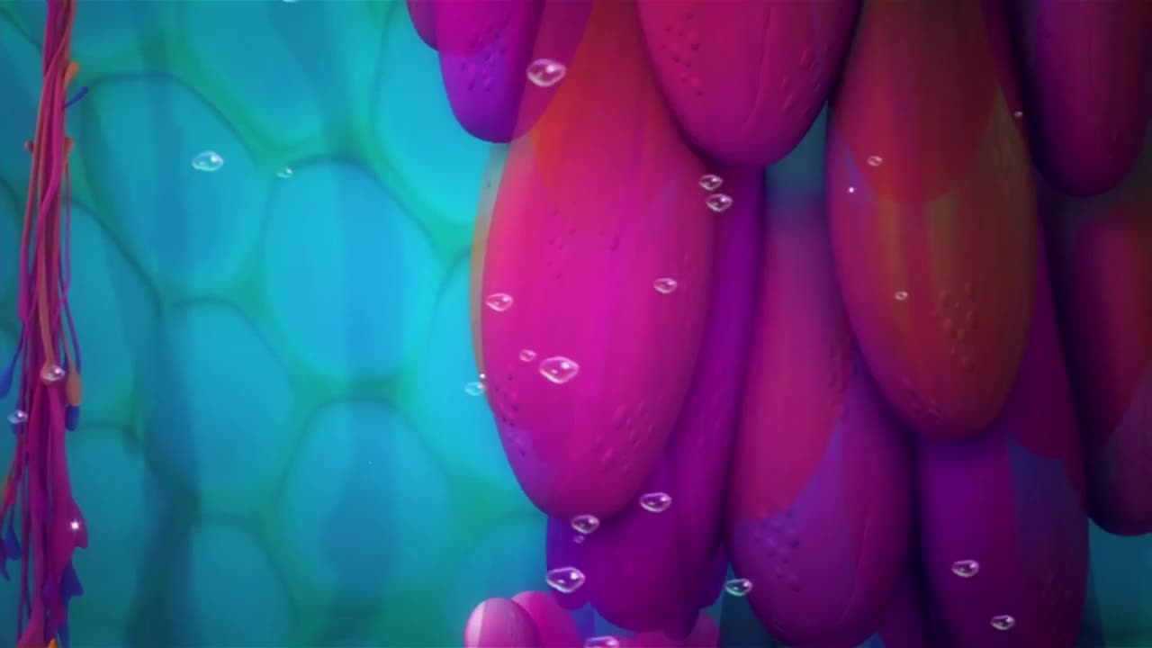 @🏵️