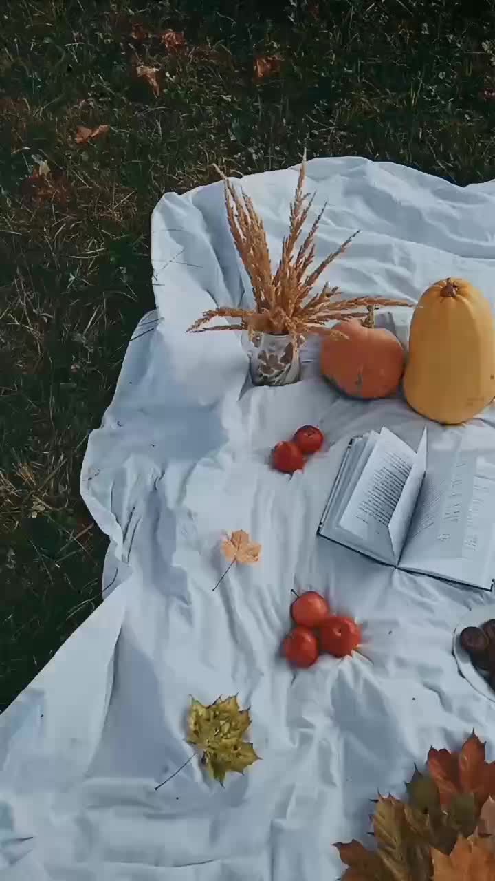 @Svetka