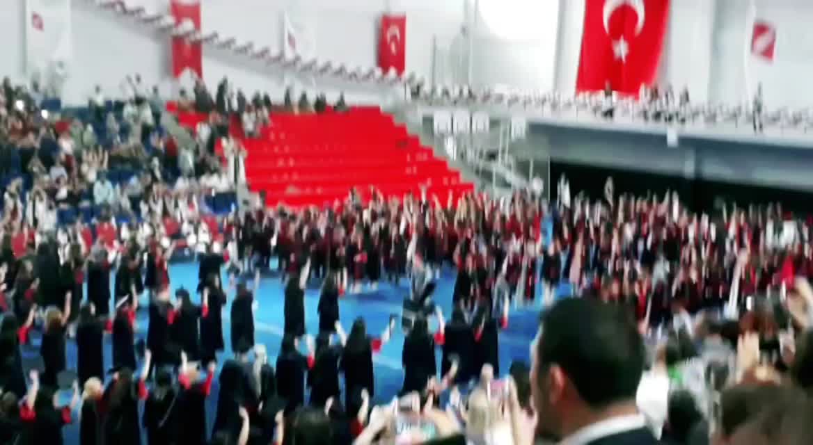 @zehra parlak