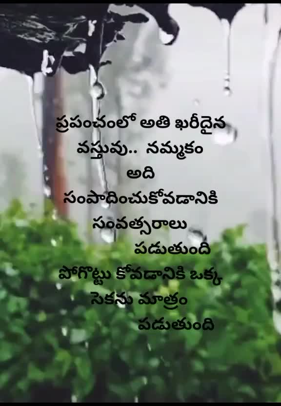 @venky masapuram