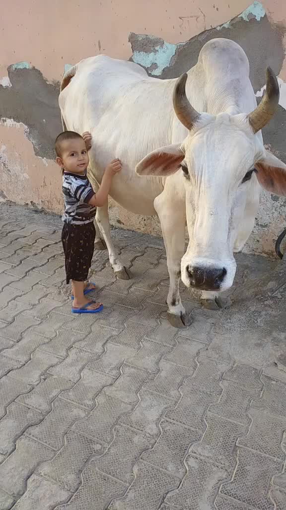 @Kavita Saini 22222