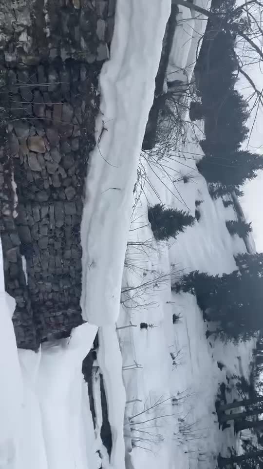 @Solo Tamil traveller