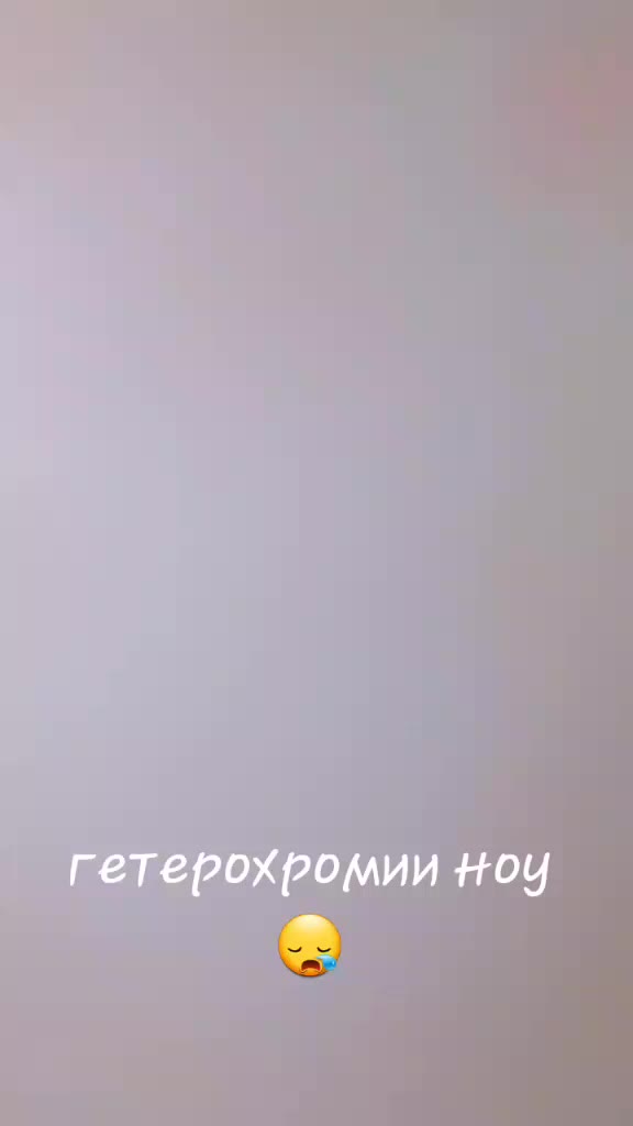 @E_04🦊🌿