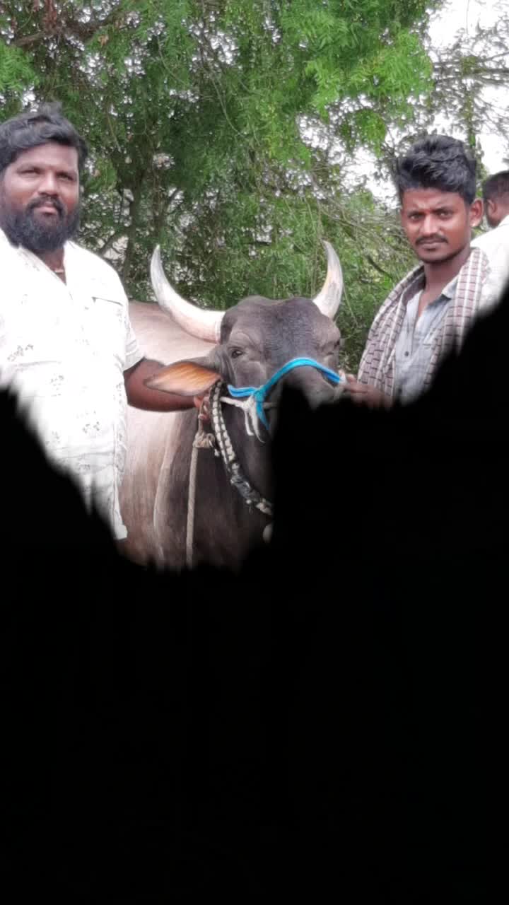 @💪ಲೋಹಿತ ನಾಯಕ 155💪