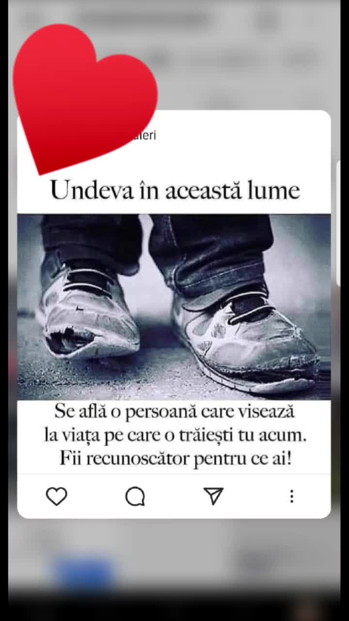 @Maria Petruta