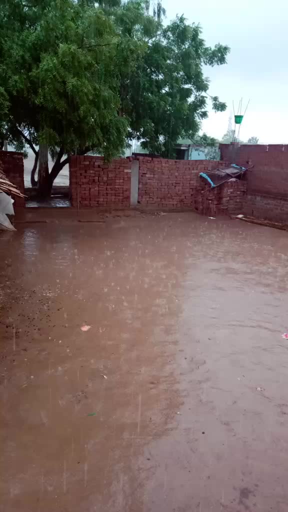 @Rahul Nayak