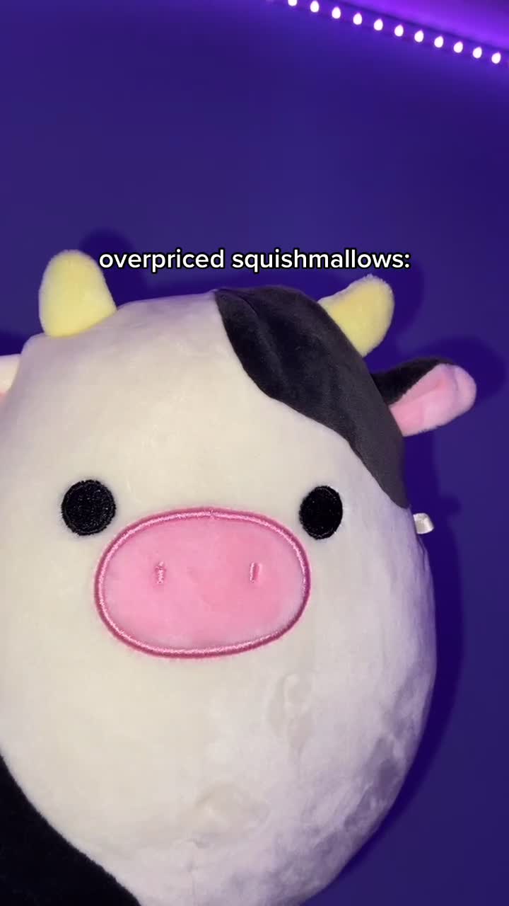 @<3 squishmallows <3