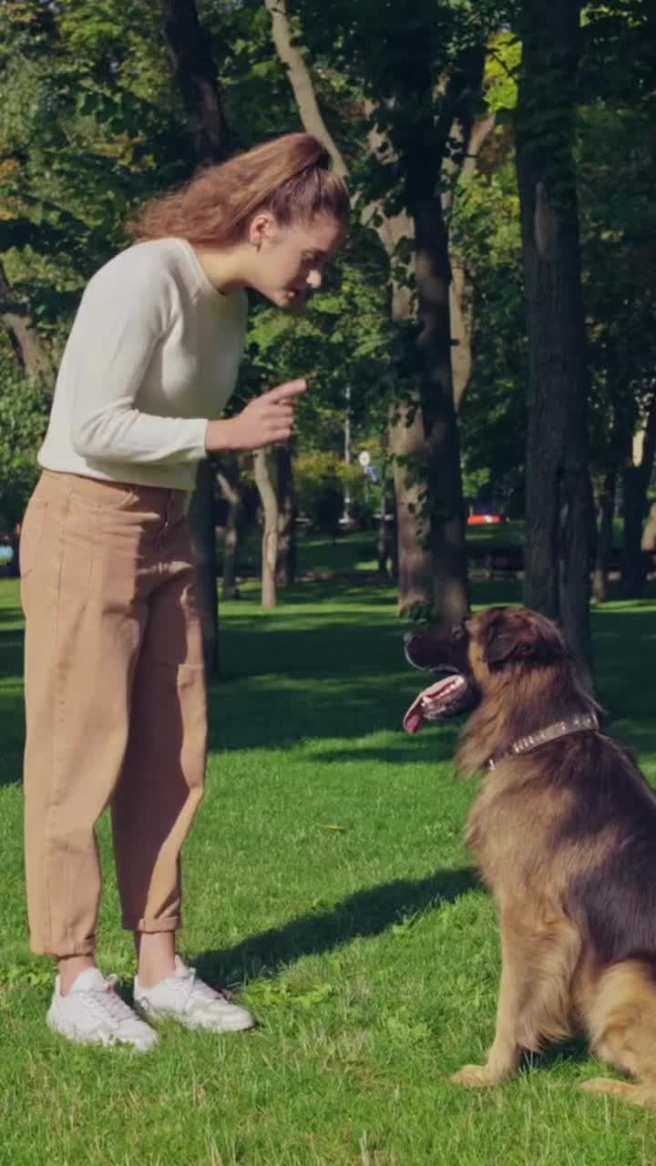 @mascotasfelices