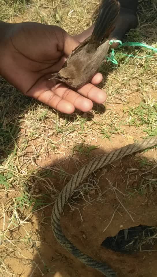 @venki.D.BOSS