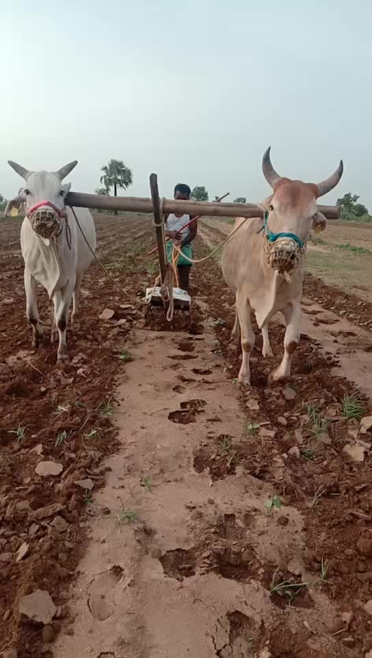 @Jogu akhila.kuruma