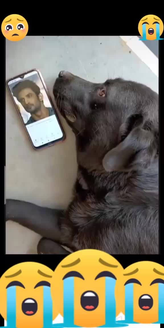@๐Ñâvèêñ Bhãñkhùkr ?