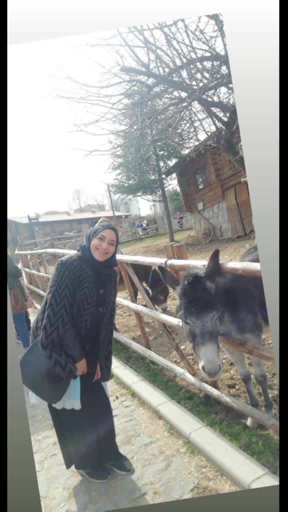 @kubraaharun