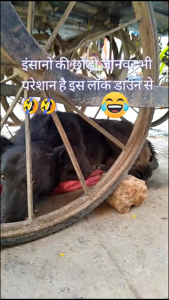 @Ali Khan