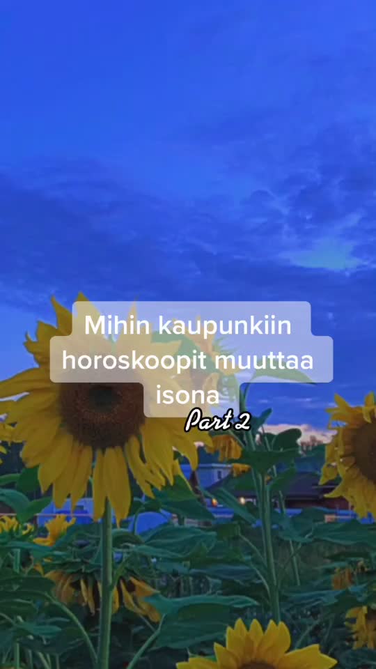 @10k🍓✨