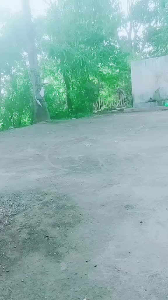 @Basu P Hukkeri