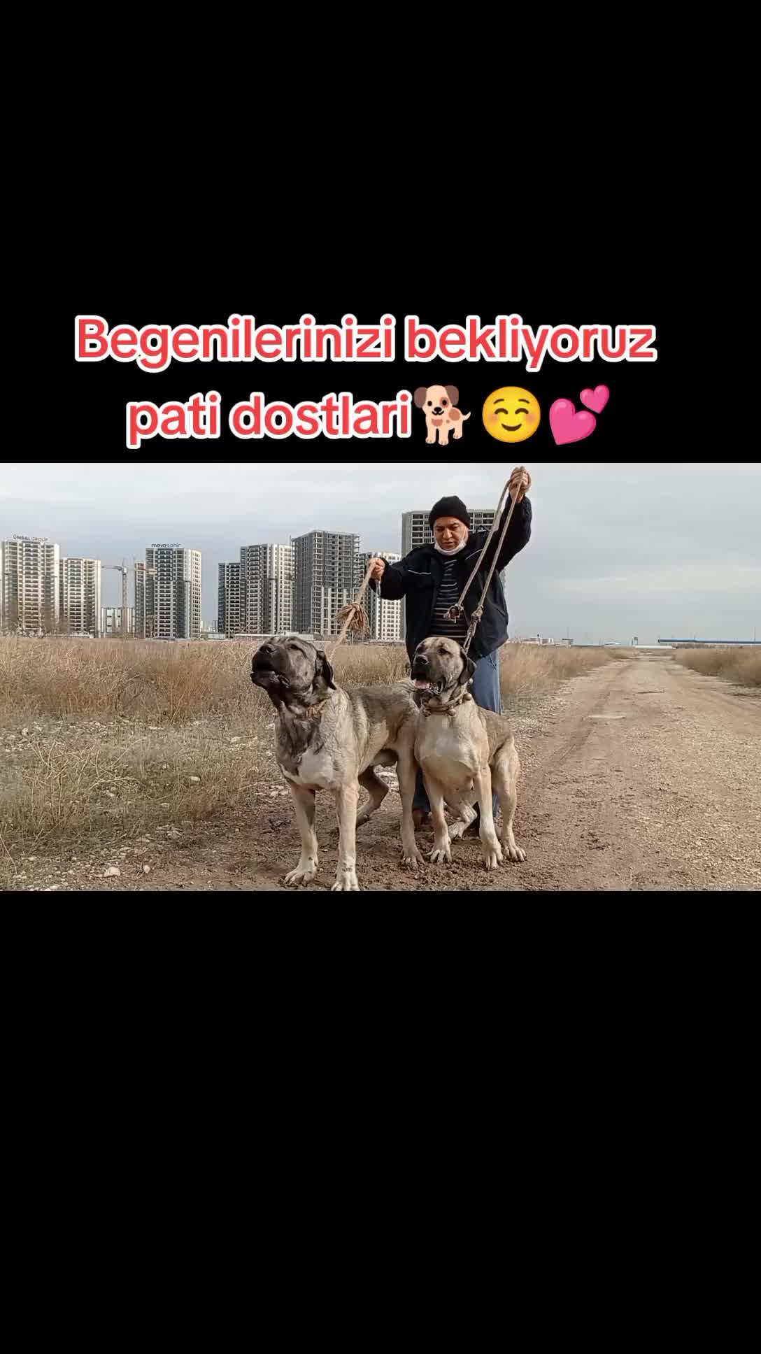 @Hello Bozkır