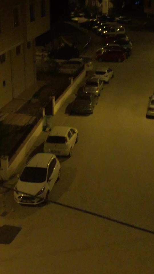 @&Ouml;zge doğan
