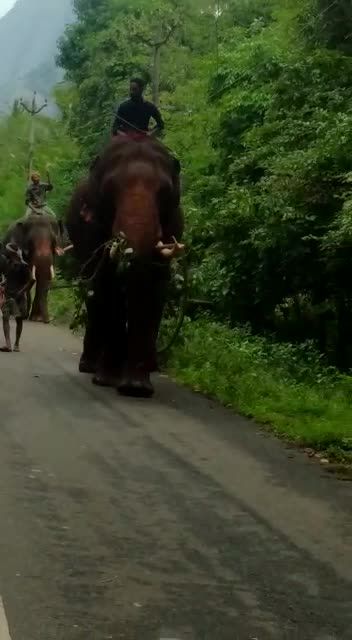 @പെരുവല്ലൂർക്കാരൻ
