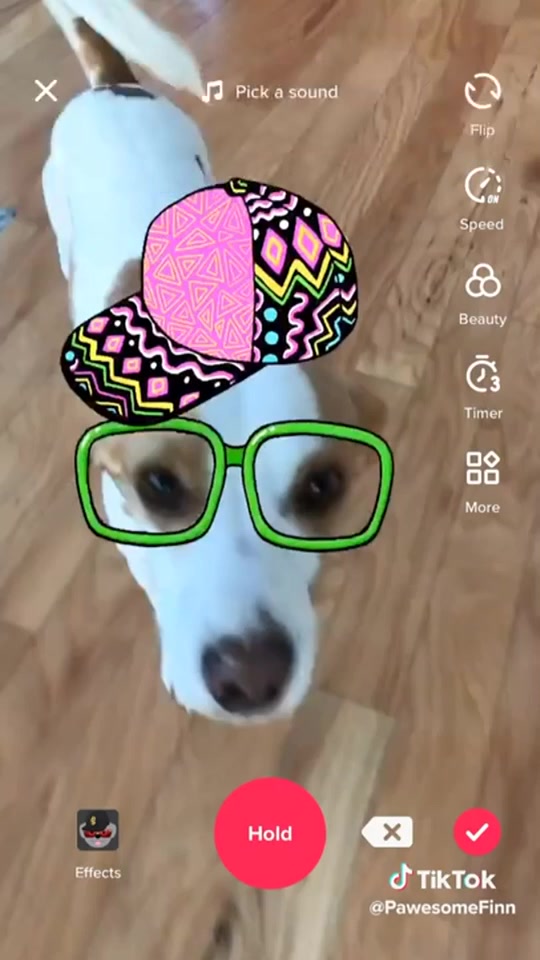 @Tik tok usa