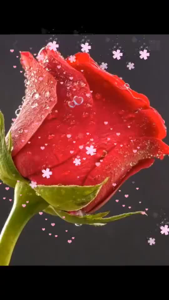 @sravanthi sravs