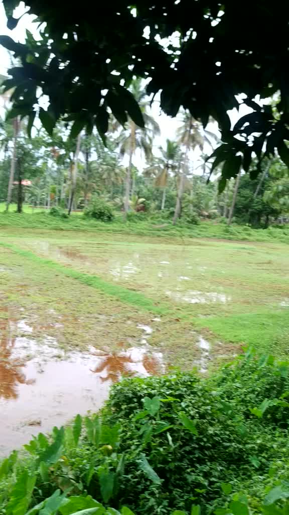@niveda pradeesh