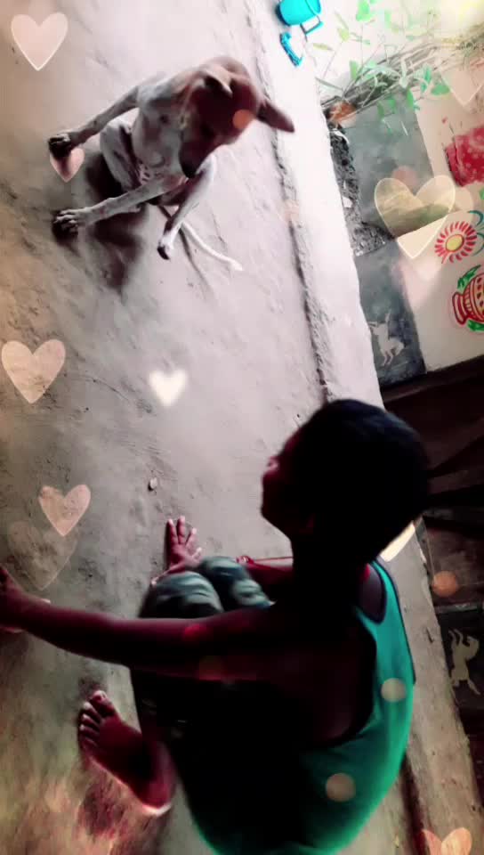 @Varsha Priyadrsini