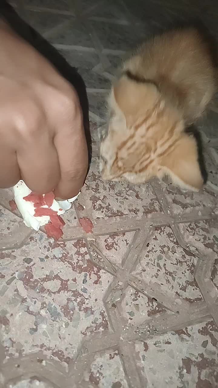 @🥀الحار 🥀