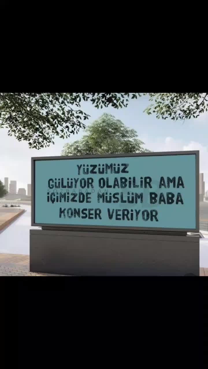 @hevidar01