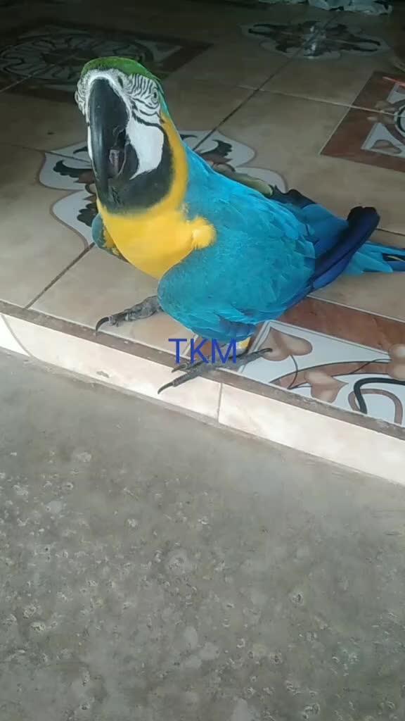 @user53654213553244
