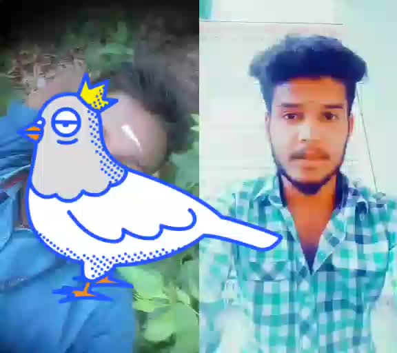 @user384123