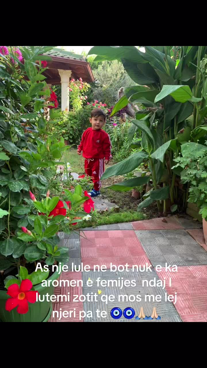 @Besnik Protoduari