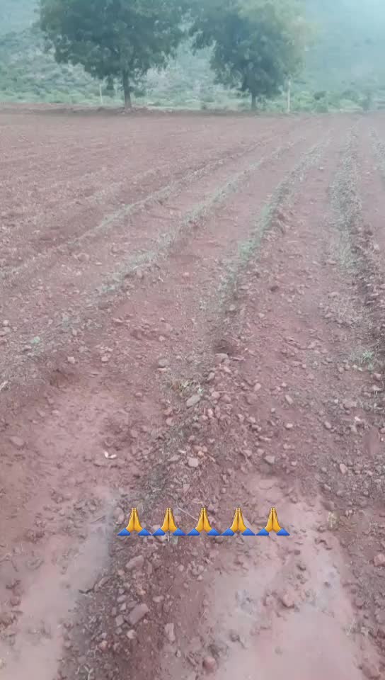 @user53001516660