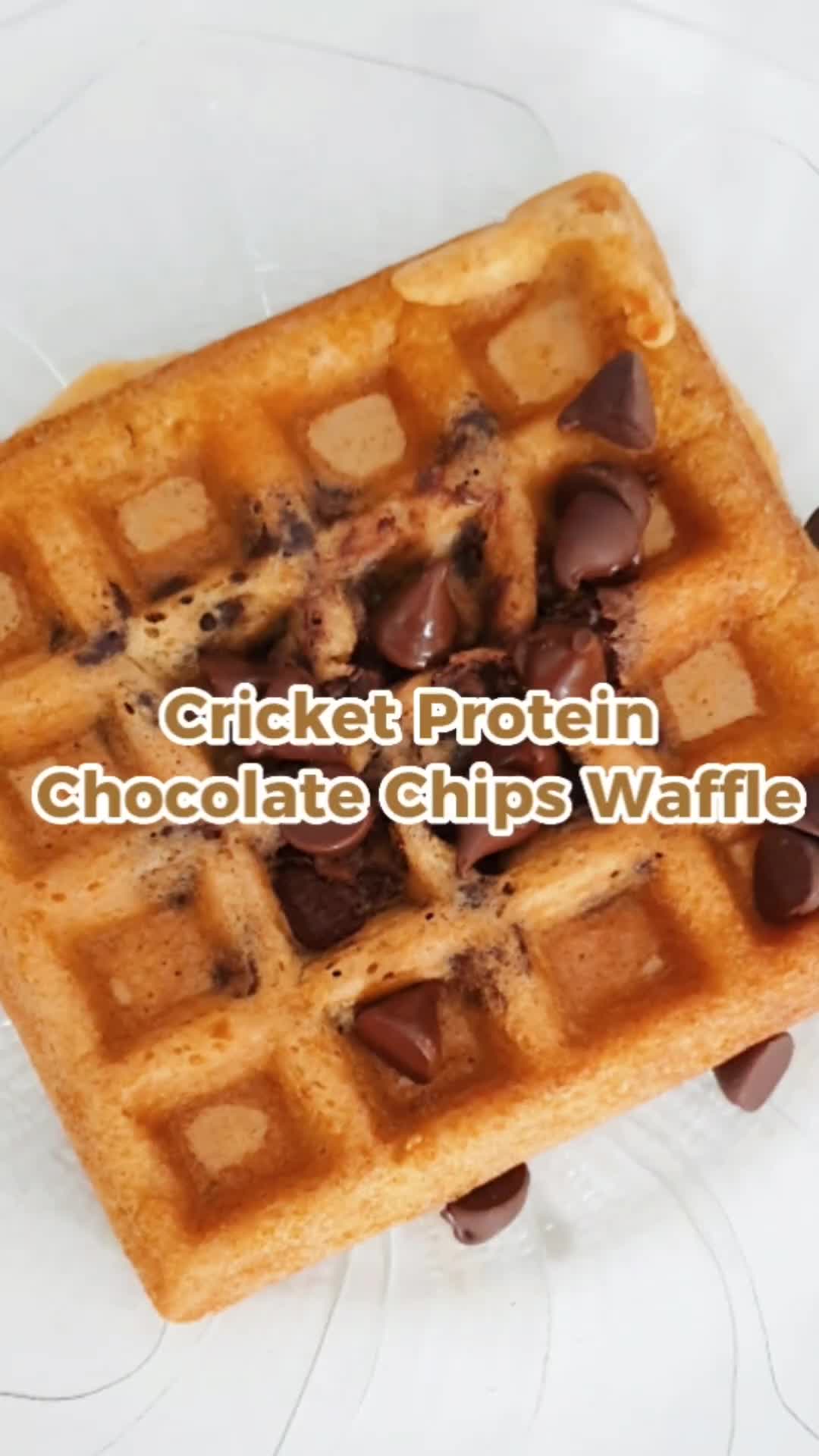 @proteincricket