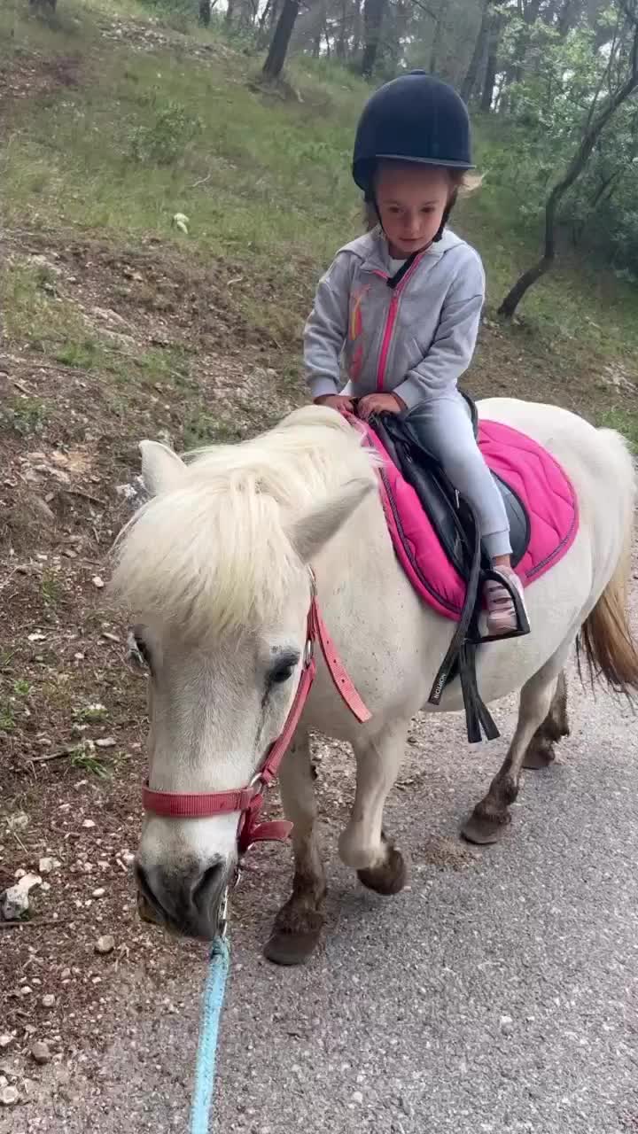 @carlamoreaufans