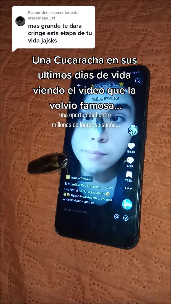 @El Cucarachero🪳🪳🪳