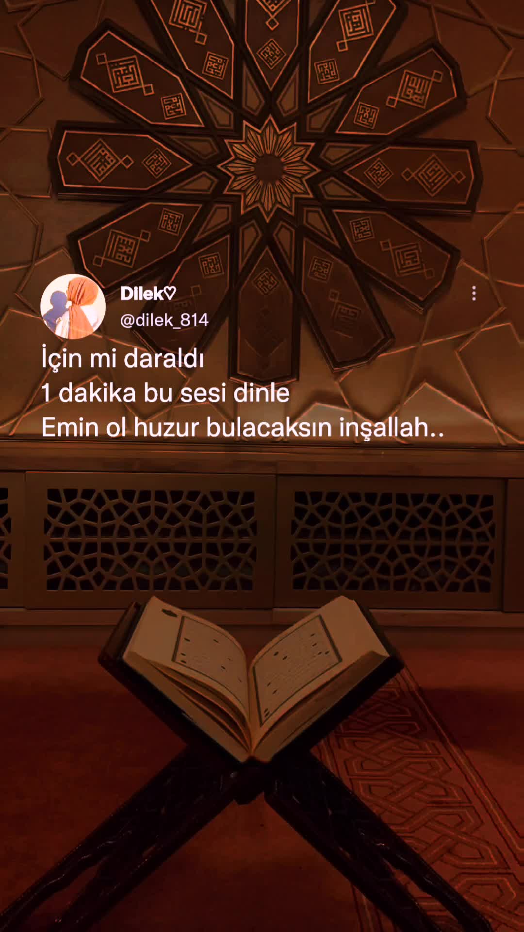 @𝓓𝓲𝓵𝓮𝓴 ♡