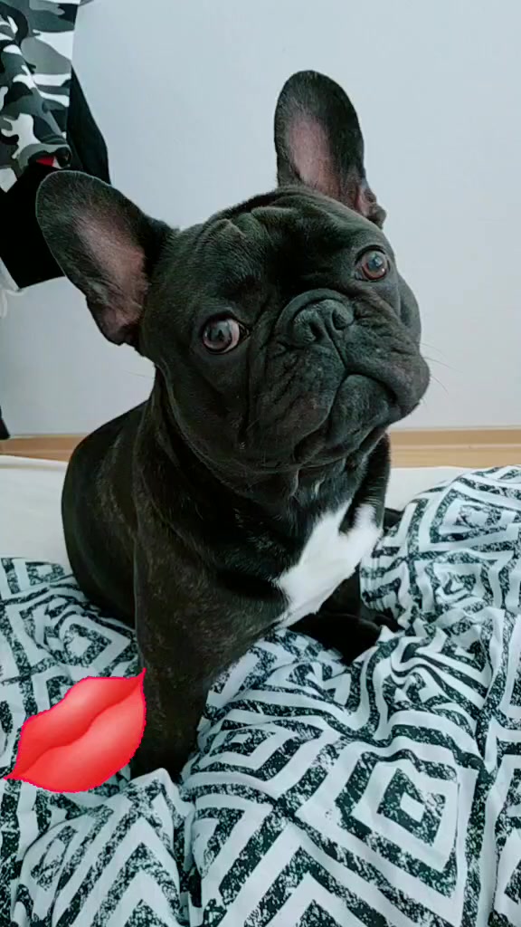 @Den&iacute;&iacute;&iacute;s