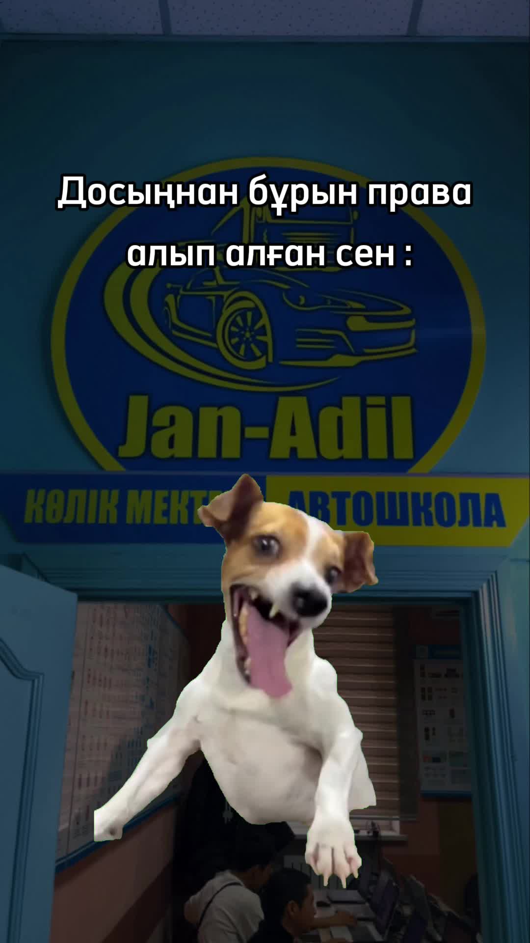@yesmahanov_adilbek