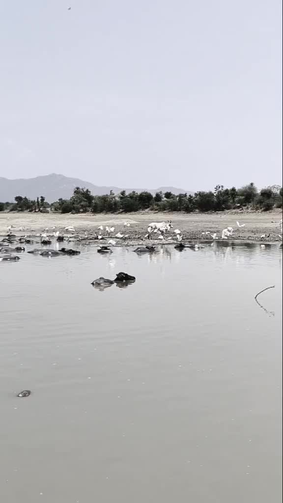 @GKR