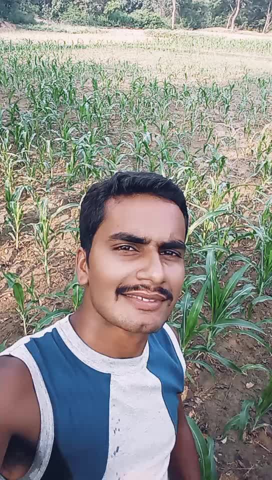@Ramshekhar Singh