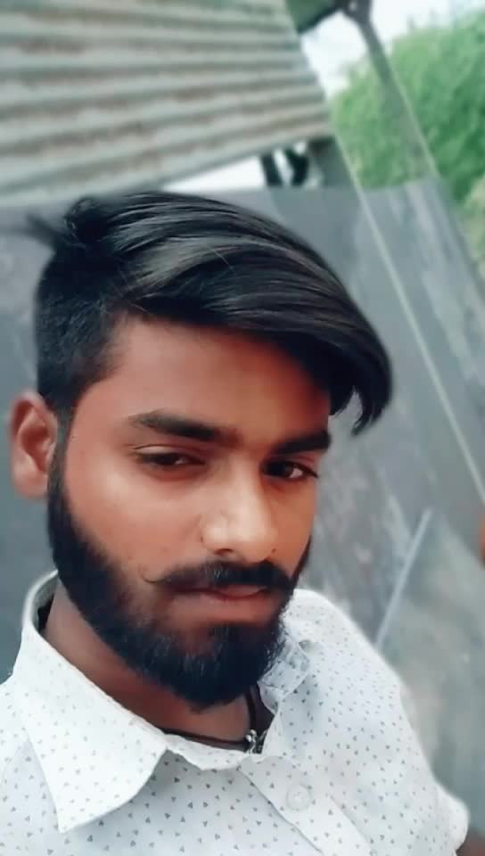 @Beard Dragon Rebel