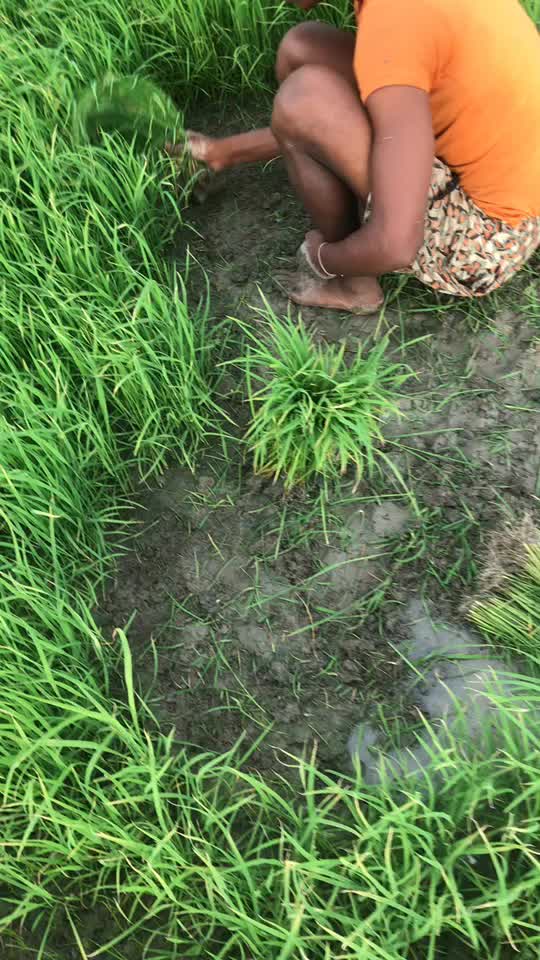 @sachin_chhikara_1232