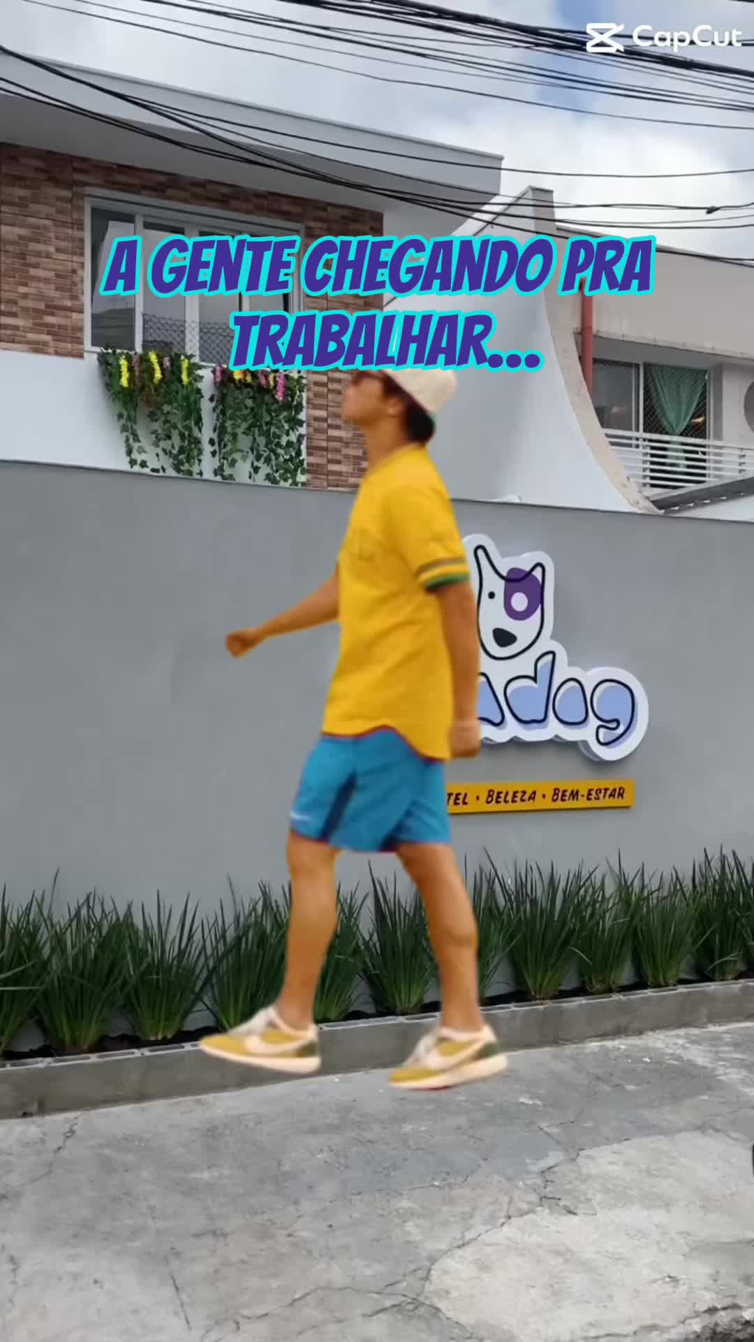 @Vila Dog | Daycare | Hotel Pet