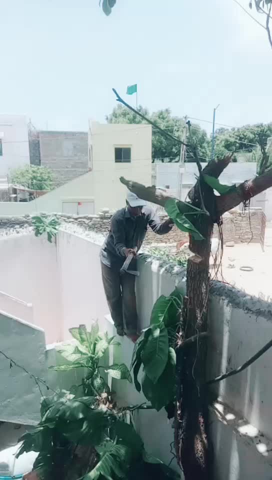 @Adv. Afsana Chauhan